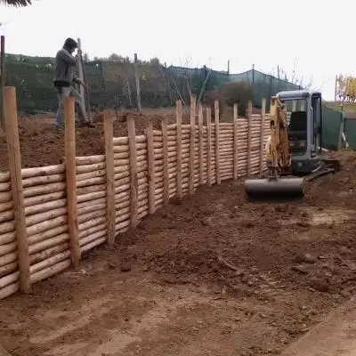 Ingegneria Naturalistica