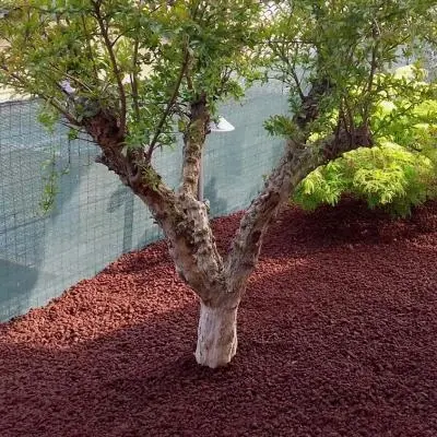 Ingegneria Naturalistica