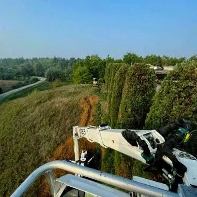 Ingegneria Naturalistica