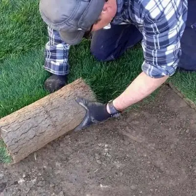 Manutenzione aree verdi