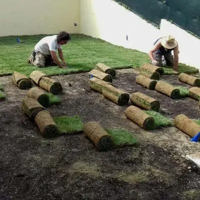 Manutenzione aree verdi