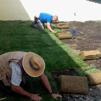 Manutenzione aree verdi