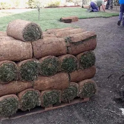 Manutenzione aree verdi