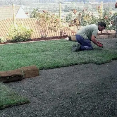 Manutenzione aree verdi