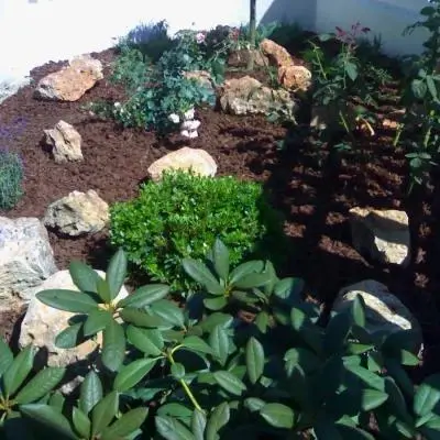 Diserbo ecologico e concimazione naturale